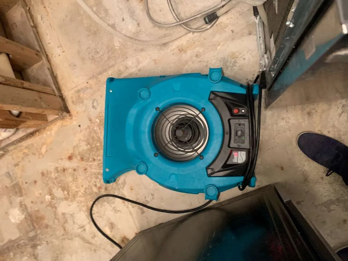Air mover drying equipment for Mold Remediation & Removal in Mentor-on-the-Lake