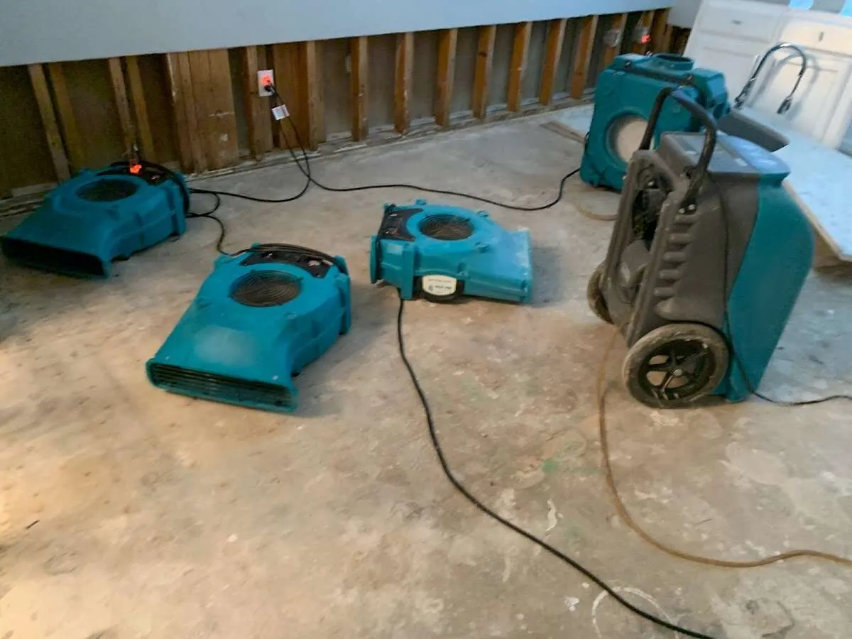 Water Damage Restoration services in Mentor-on-the-Lake, OH